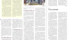 今日关注爆料怎么报啊,如何高效举报线索